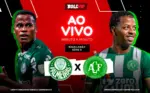 Entenda como palmeiras x chapecoense ao vivo – 0 x 0 – verdão pressiona para abrir o placar pelo brasileirão