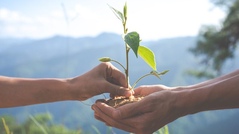B3 anuncia carteira do Índice de Sustentabilidade Empresarial (ISE B3) para 2026 com 69 companhias