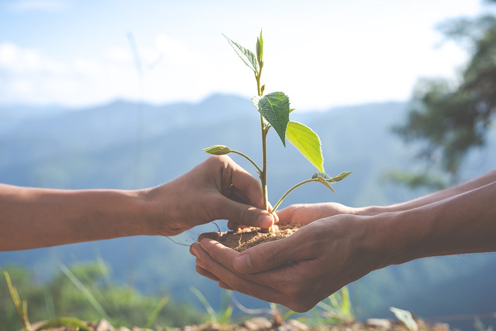 B3 anuncia carteira do Índice de Sustentabilidade Empresarial (ISE B3) para 2026 com 69 companhias