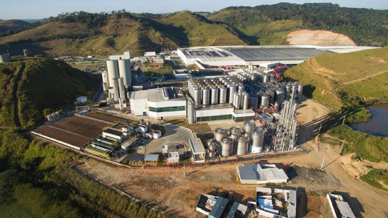 Ações da Ambev sobem mais de 11% e impulsionam alta do Ibovespa; dólar cai para R$ 4,927