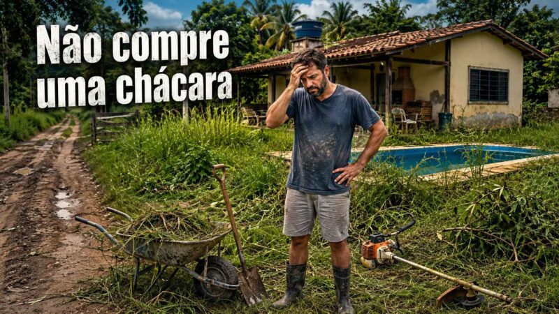 Entenda como comprar uma chácara pode virar armadilha? quando o sonho do descanso no fim de semana se transforma em mato, manutenção, estrada ruim e despesas sem fim