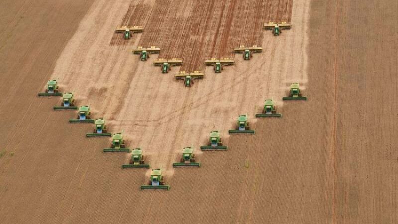 IBGE projeta safra recorde de 348,7 milhões de toneladas em 2026, puxada pela soja