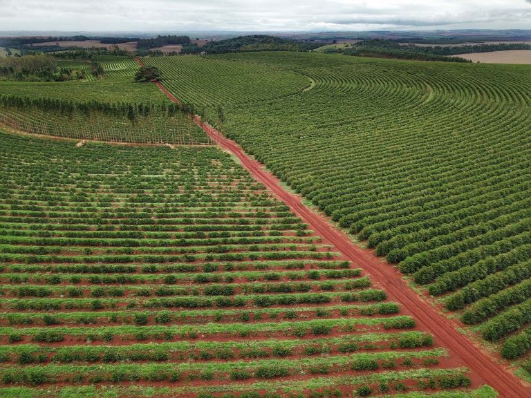 Descubra juros altos e crédito restrito derrubam receita da indústria de fertilizantes especiais