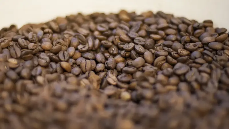Exportações de café chegam a 3,122 milhões de sacas em abril de 2026, mas receita cambial cai 17,7%