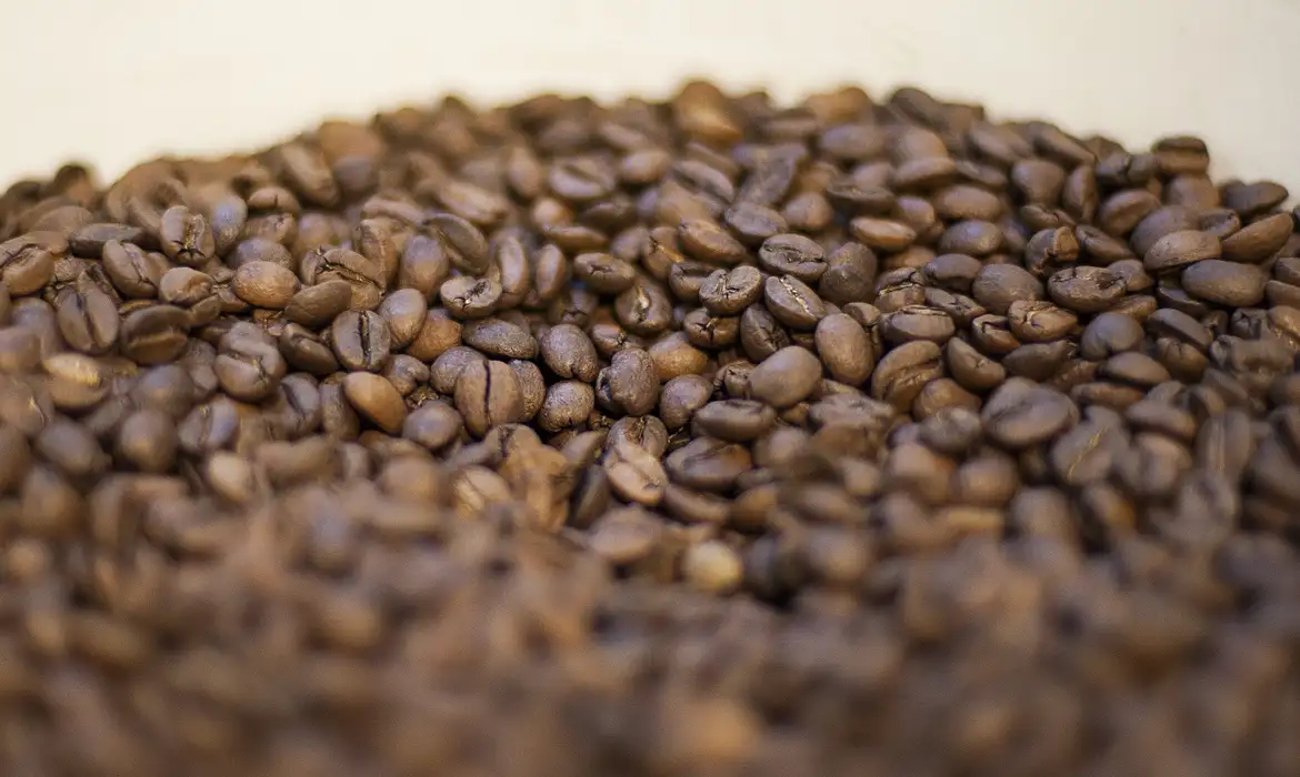 Exportações de café chegam a 3,122 milhões de sacas em abril de 2026, mas receita cambial cai 17,7%