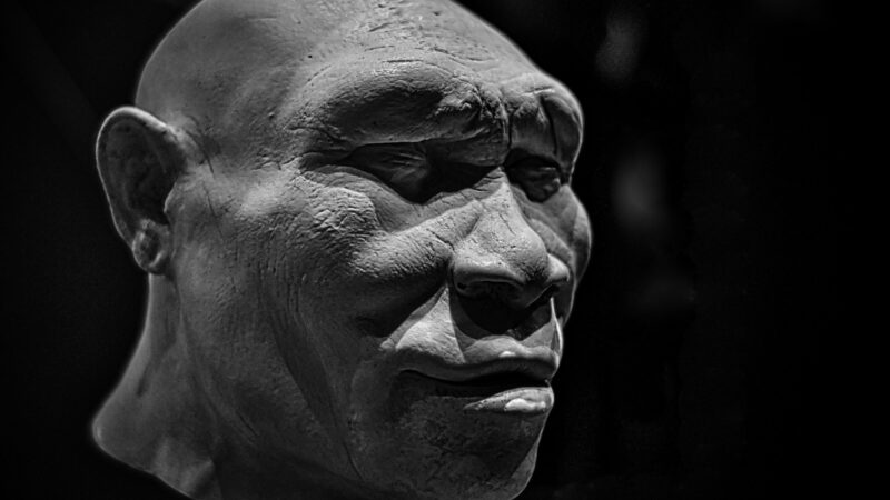 Dentes de Homo erectus de 400 mil anos na China mostram assinatura proteica associada a denisovanos