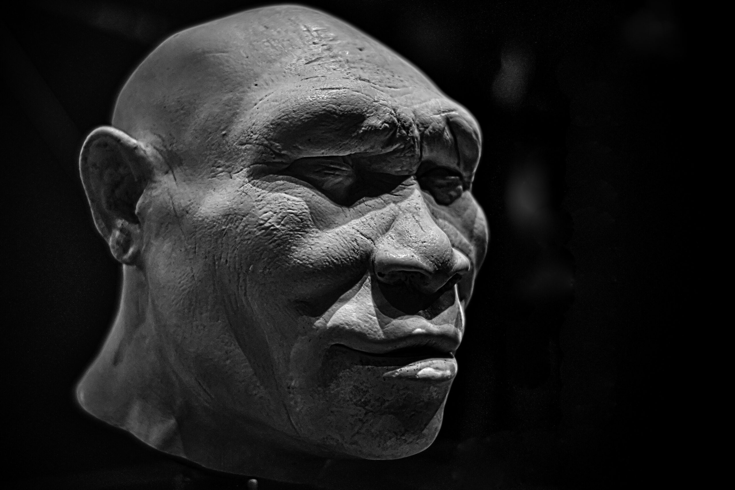 Dentes de Homo erectus de 400 mil anos na China mostram assinatura proteica associada a denisovanos