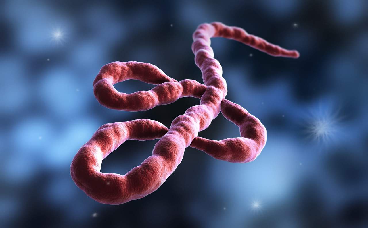 OMS classifica risco de surto de Ebola no Congo como “muito alto” em nível nacional
