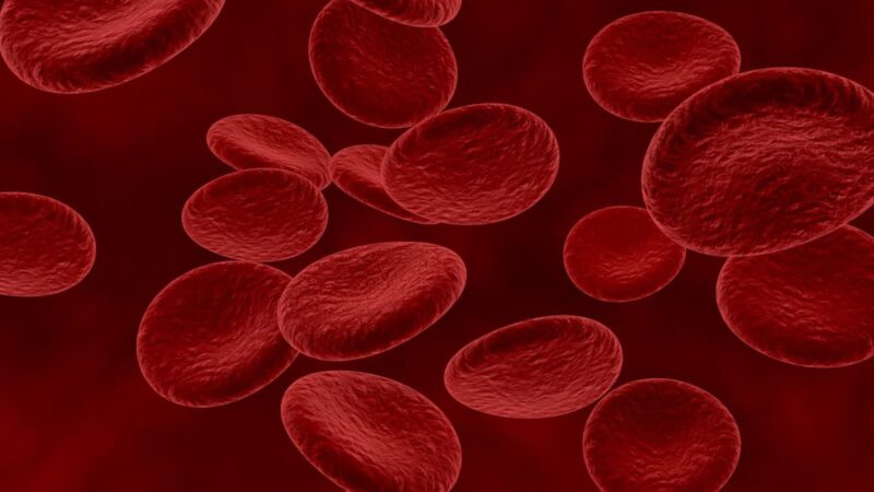 Terapia CAR-T começa a ser indicada em estágios iniciais para cânceres do sangue