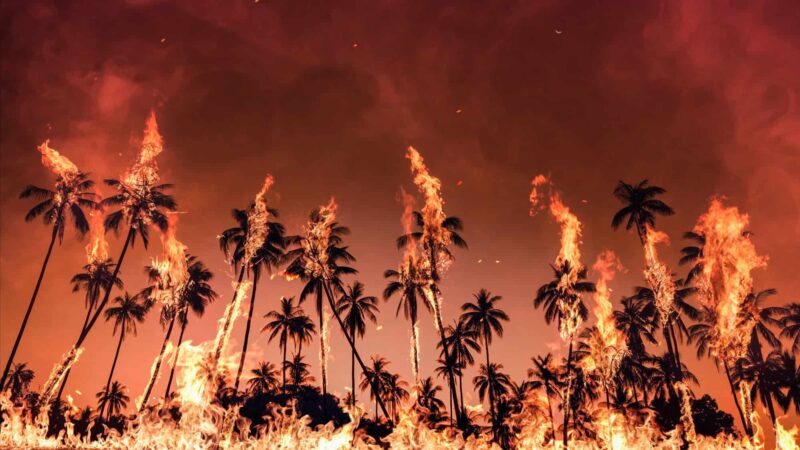 Entenda como metal cancerígeno ficou no ar meses após incêndios em los angeles
