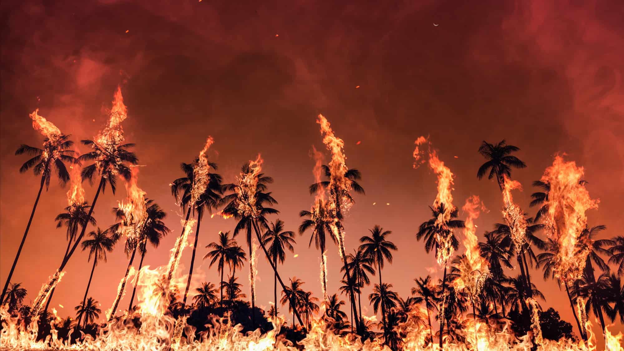 Entenda como metal cancerígeno ficou no ar meses após incêndios em los angeles