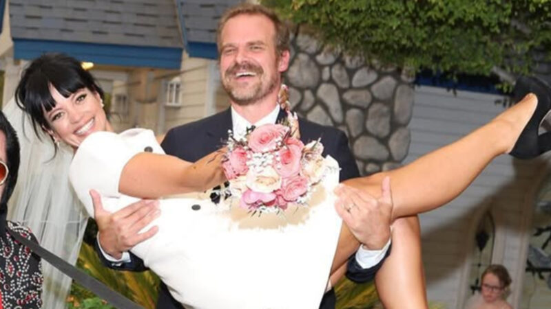 Entenda como o remix de lily allen com jade traz novo “exposed” de david harbour