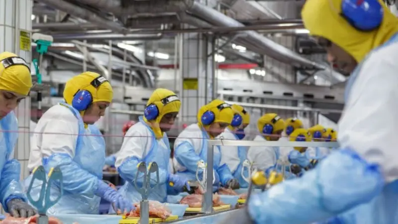 MBRF registra lucro líquido de R$ 111 milhões no 1º trimestre de 2026, com receita de R$ 39,45 bilhões