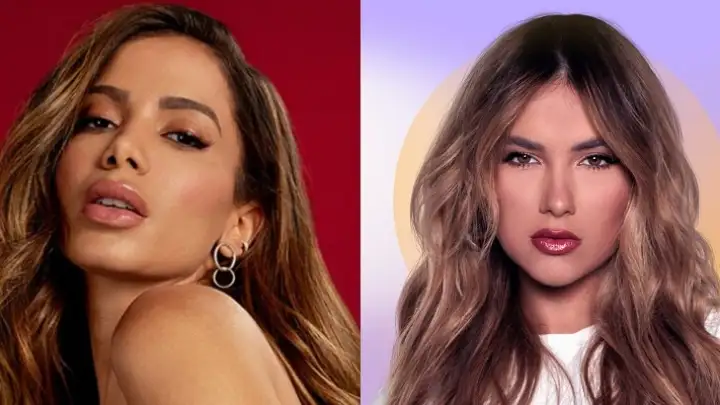 Anitta curte vídeo de crítica a Virginia Fonseca sobre postagem com macaco