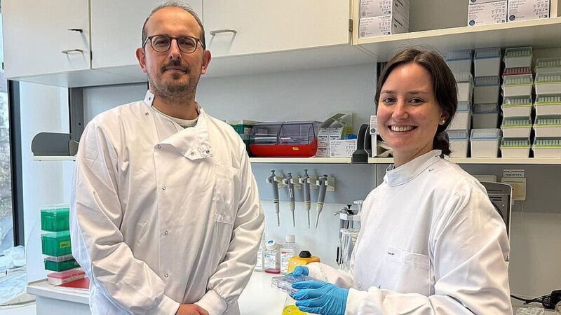 Descubra vitamina comum pode ajudar câncer a sobreviver, diz estudo