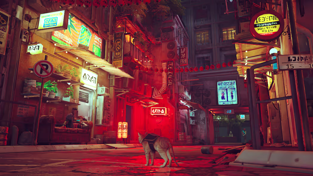 Descubra stray chega ao switch 2 com suporte a 4k e upgrade gratuito