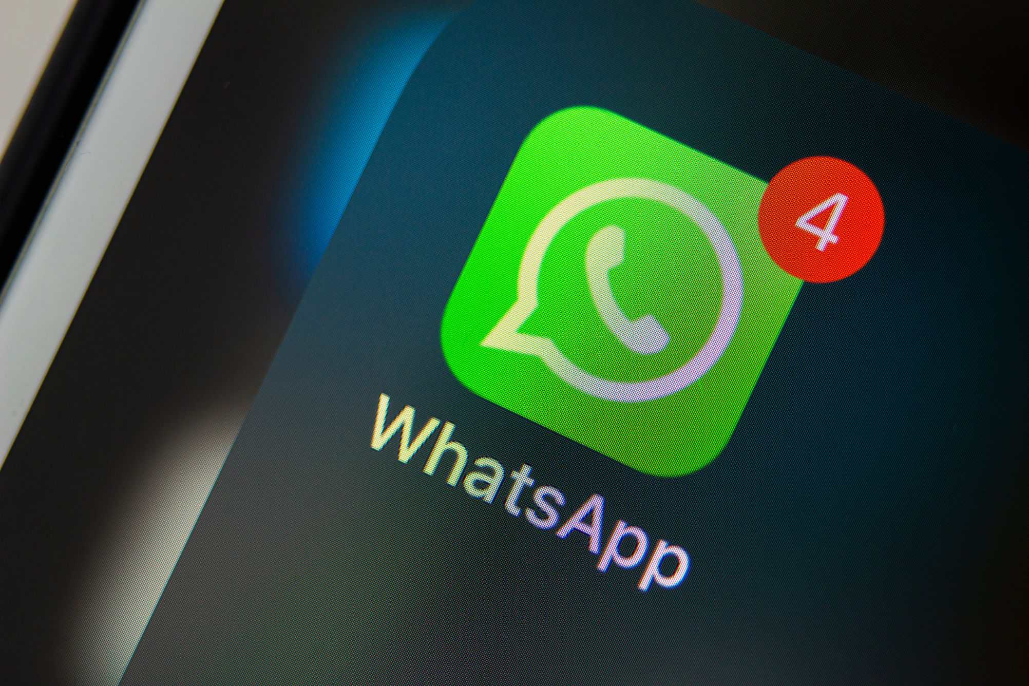 WhatsApp testa tela única para mostrar contatos online