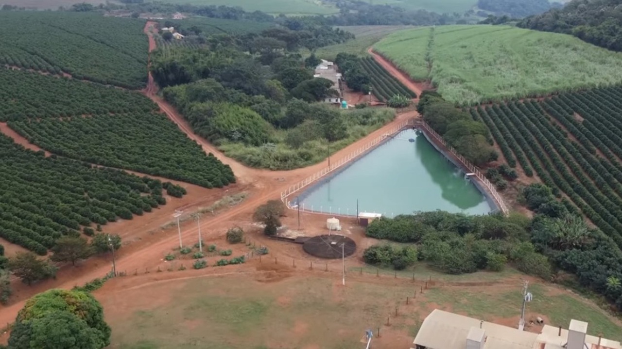 Fazenda reduzida a 73 hectares diversifica produção com café, gado, energia solar e milho hidropônico