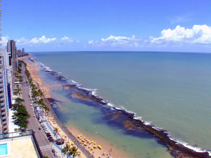 Saiba mais sobre pernambuco registra segundo caso de ataque de tubarão em dois dias