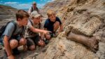 Três meninos descobrem fóssil raro de T. rex jovem nas encostas de Dakota do Norte