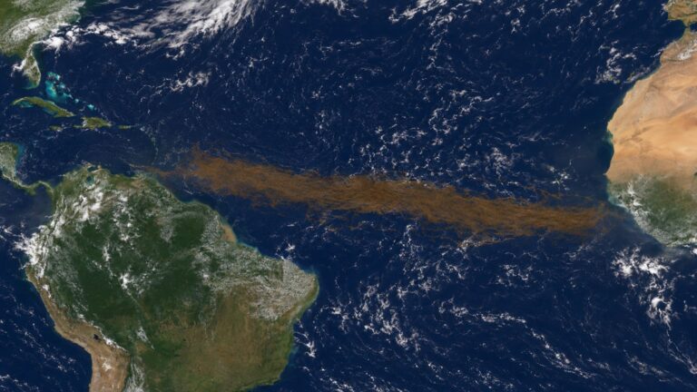 Saiba mais sobre uma faixa marrom gigante visível do espaço, com cerca de 8.850 quilômetros de extensão, ligou a África à américa no oceano atlântico, e os satélites revelaram que não é …