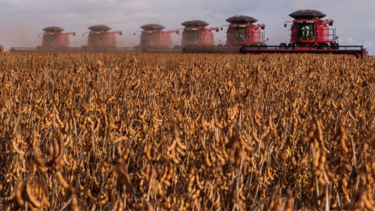 Conheça forbes mulher agro: bionematicidas estão redefinindo a produtividade no agronegócio brasileiro