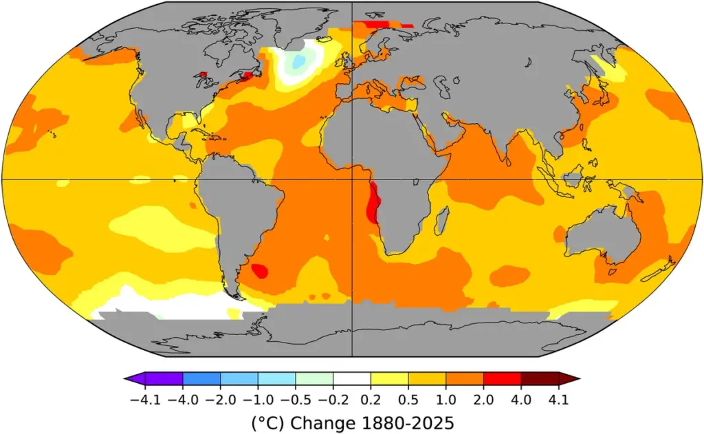 Mancha fria no Atlântico Norte indica enfraquecimento das correntes oceânicas, dizem pesquisadores