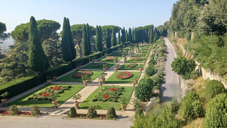 Vaticano transforma vinhedo de Castel Gandolfo em laboratório de práticas sustentáveis