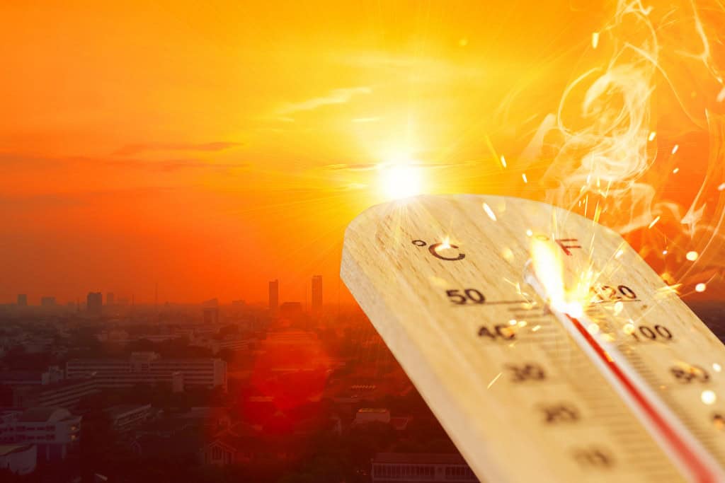 Entenda como calor extremo aproxima partes do mundo do limite da sobrevivência humana