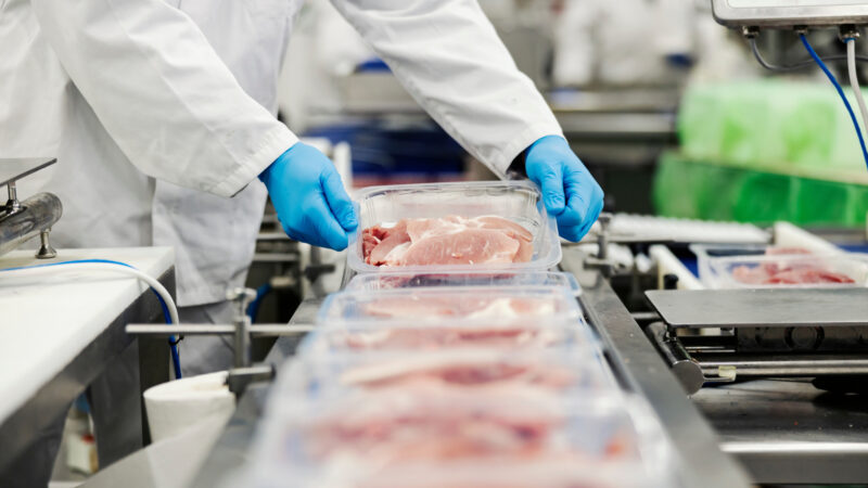 Descubra exportações de frango crescem 12% e jp morgan projeta recuperação dos preços