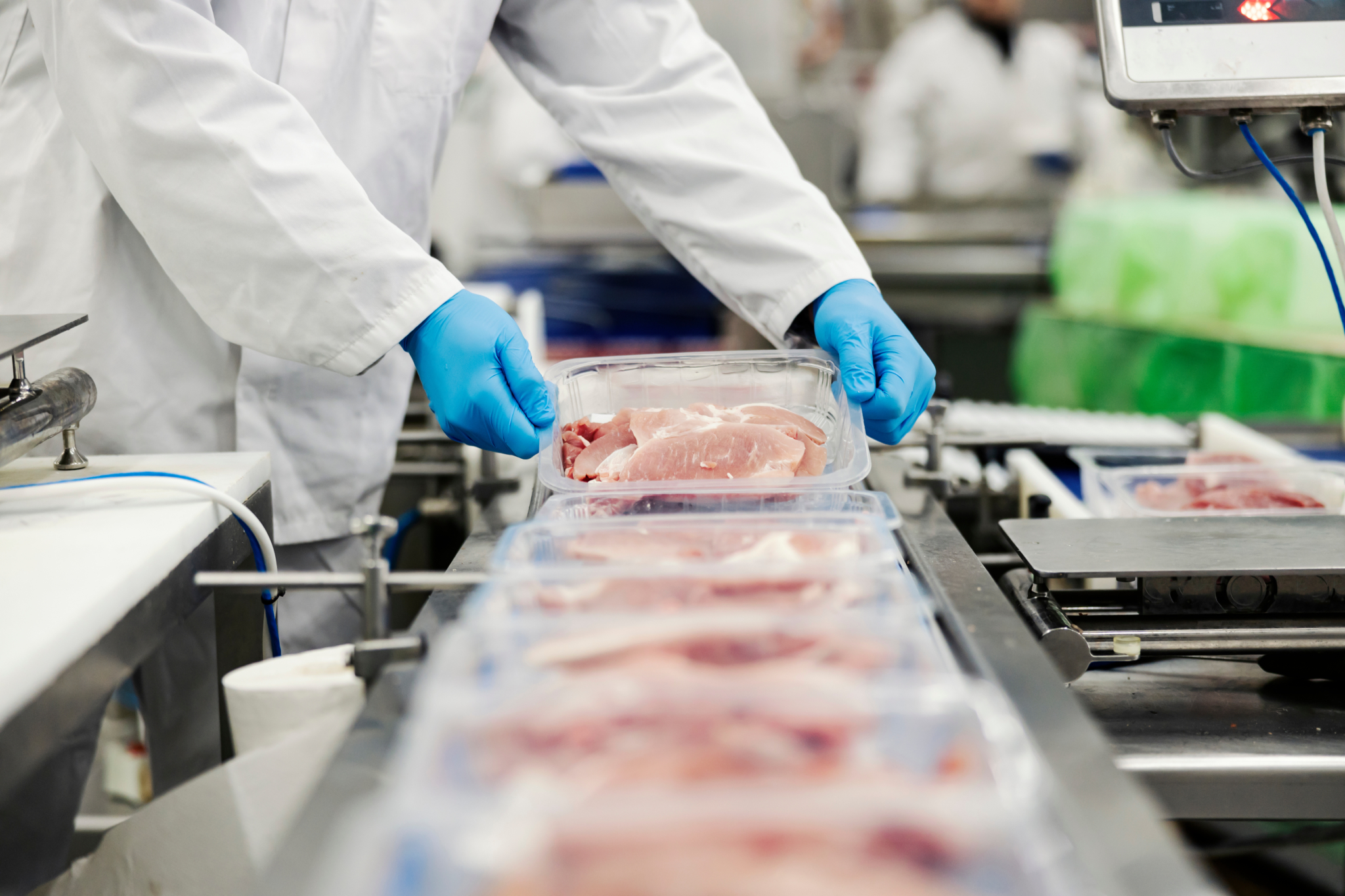 Descubra exportações de frango crescem 12% e jp morgan projeta recuperação dos preços
