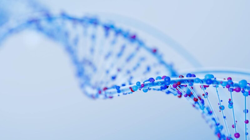 11/07/2000: DNA identifica esqueleto encontrado em barraca no Olympic National Park após 26 anos