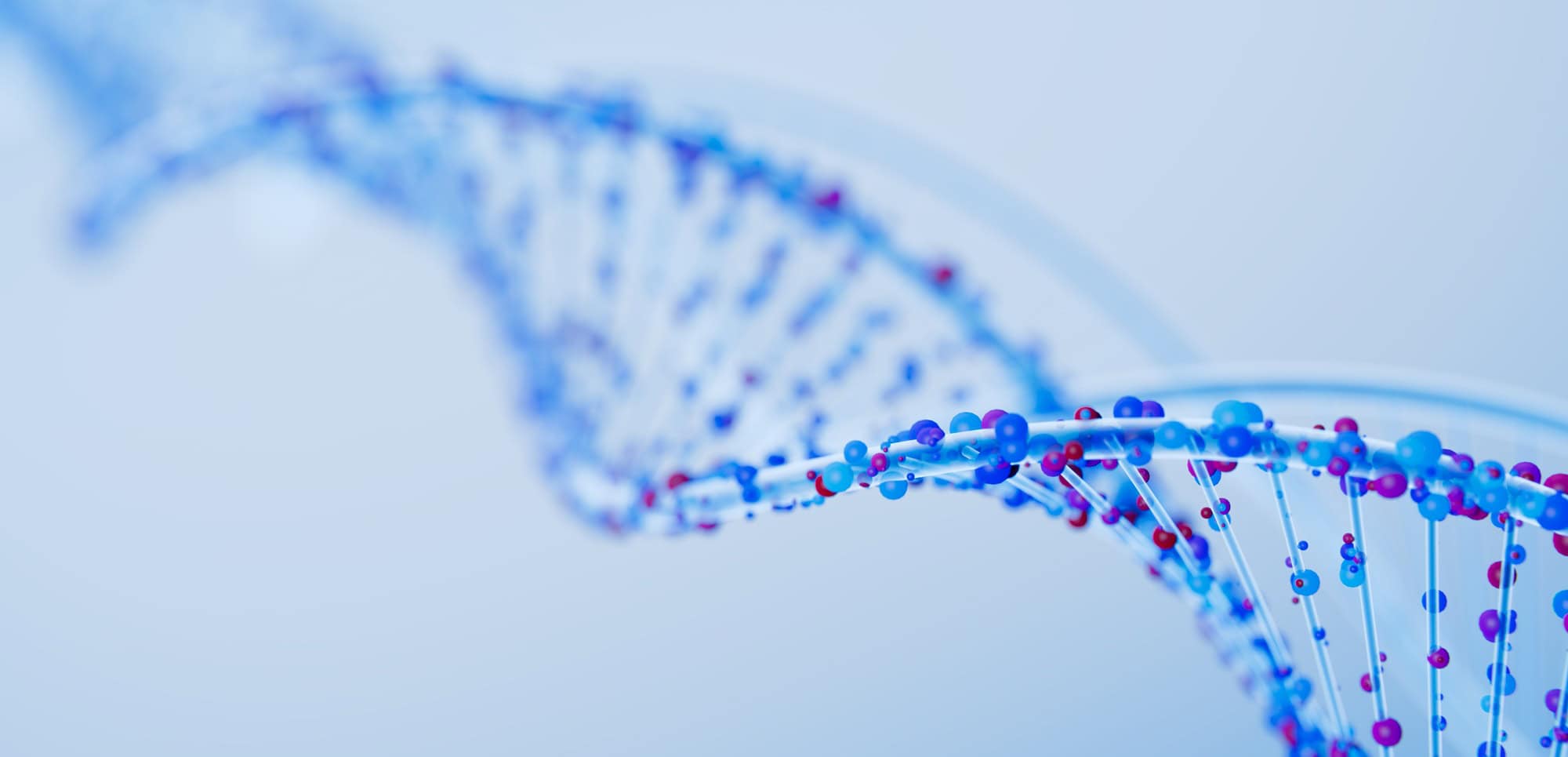 11/07/2000: DNA identifica esqueleto encontrado em barraca no Olympic National Park após 26 anos