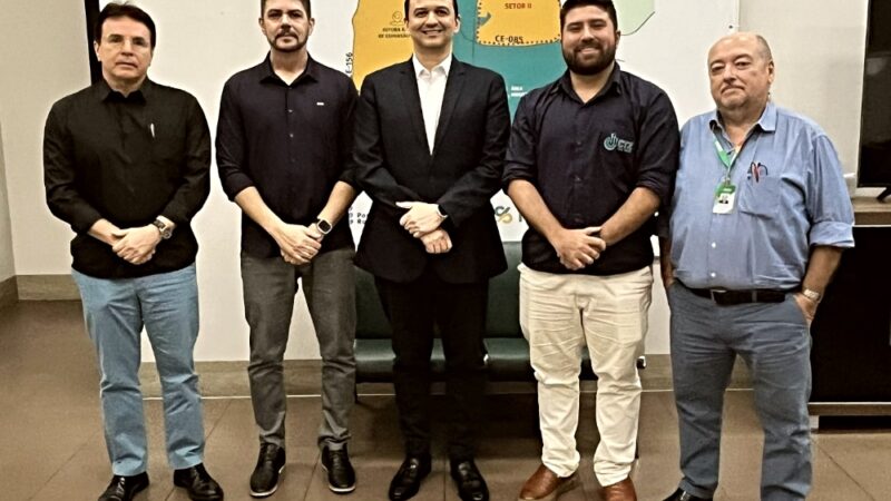 Saiba mais sobre ceará aposta em tecnologia própria e avança para liderar nova fronteira eólica