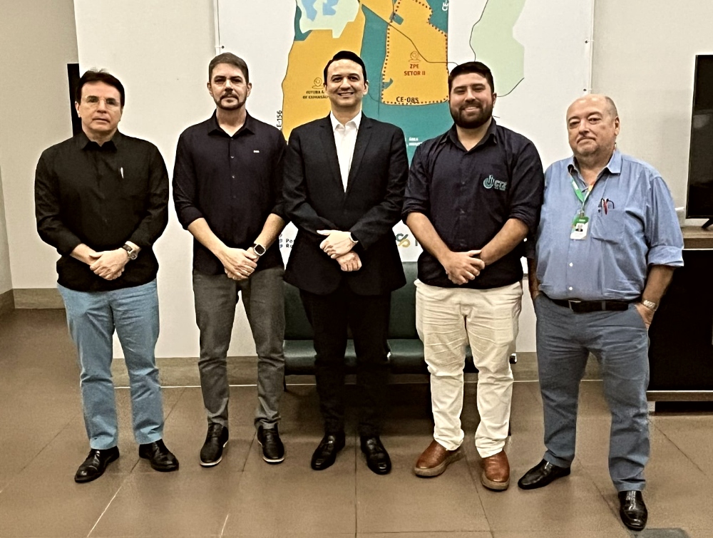 Saiba mais sobre ceará aposta em tecnologia própria e avança para liderar nova fronteira eólica
