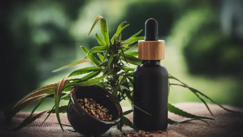 TRF-3 autoriza mulher com dores crônicas e ansiedade a cultivar cannabis