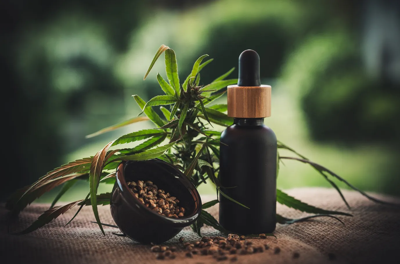TRF-3 autoriza mulher com dores crônicas e ansiedade a cultivar cannabis