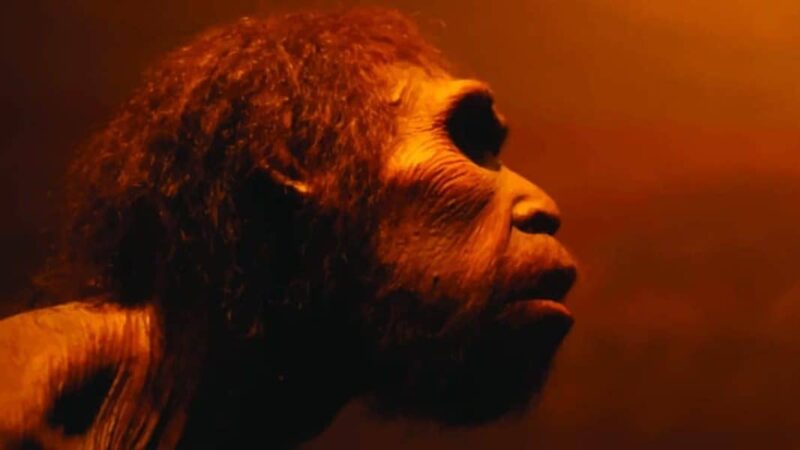 Entenda como hominíneos já usavam fogo há 1,8 milhão de anos, sugere estudo