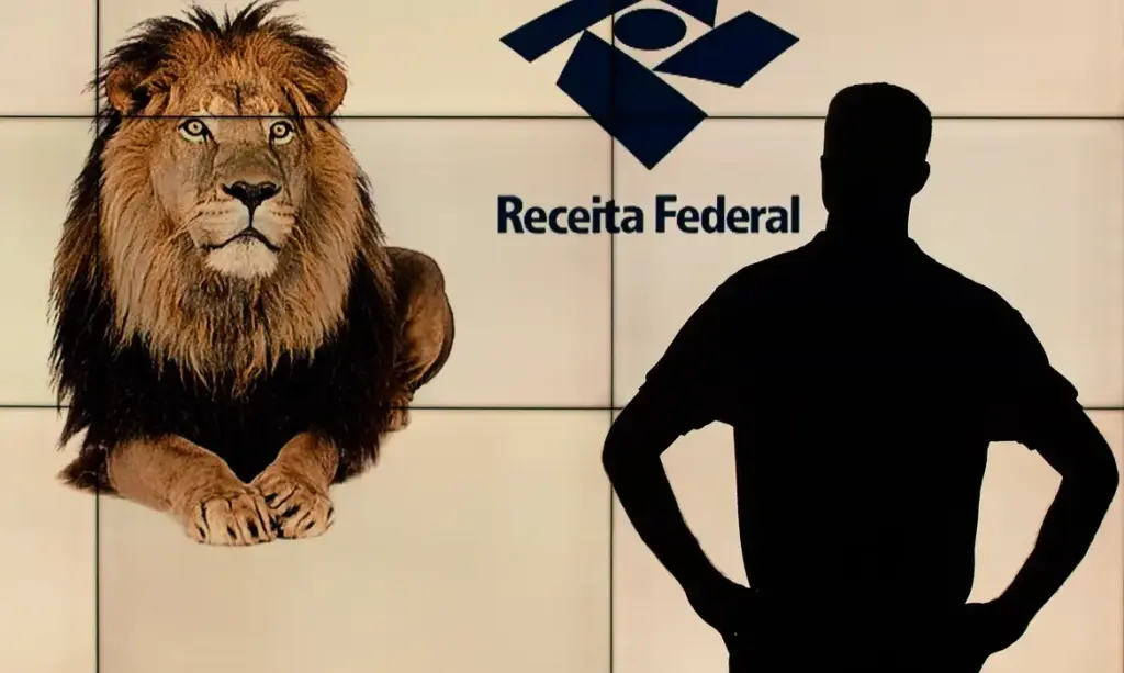 Como saber se sua declaração caiu na malha fina e o que fazer para regularizar