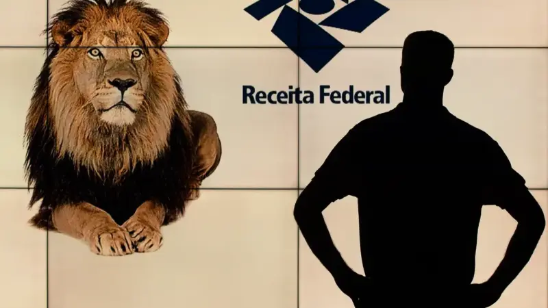 Como saber se sua declaração caiu na malha fina e o que fazer para regularizar