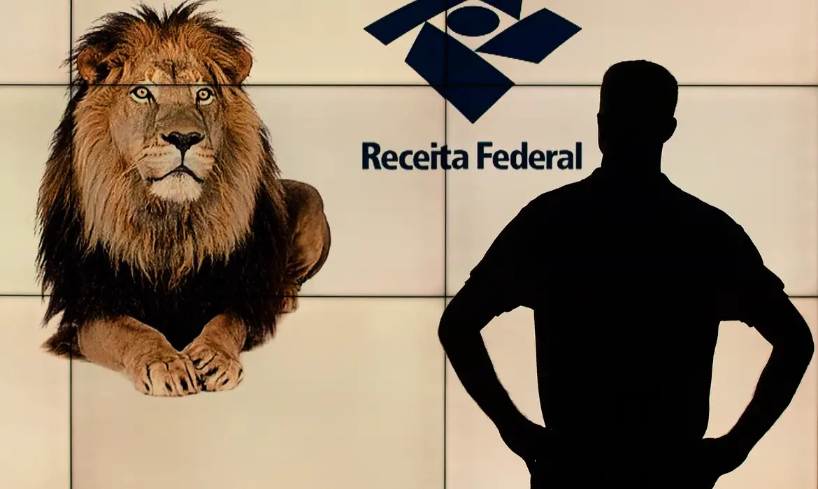 Como saber se sua declaração caiu na malha fina e o que fazer para regularizar