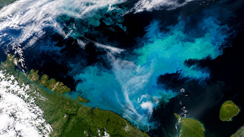 03/08/2023 — Satélite registra mancha verde e azulada de 200 mil km² no Mar de Barents causada por floração de fitoplâncton