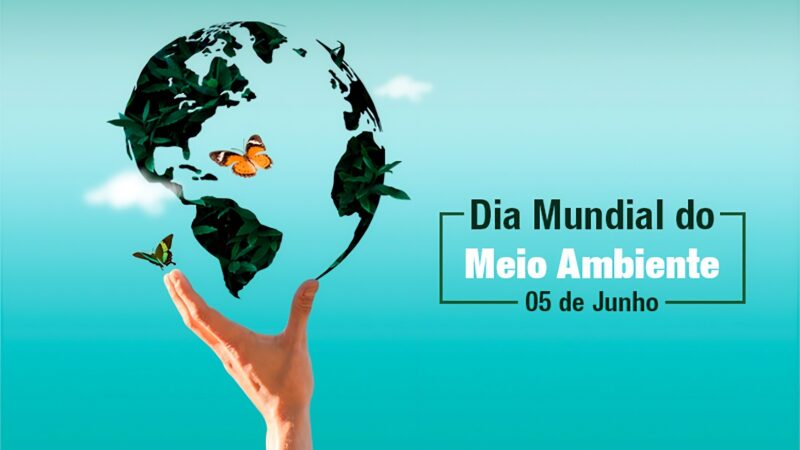 Descubra dia mundial do meio ambiente: a complexa rede de acordos e tratados internacionais