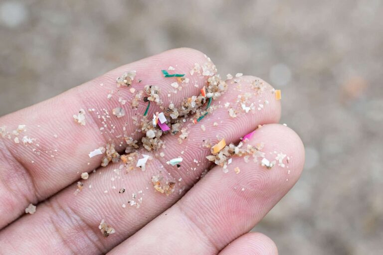 Microplásticos são encontrados em fezes de ouriços e em rações para pets no Reino Unido