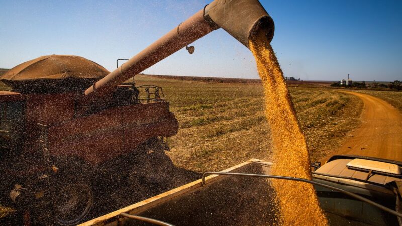 Produção de grãos do Brasil pode alcançar 358,6 milhões de toneladas em 2025/26