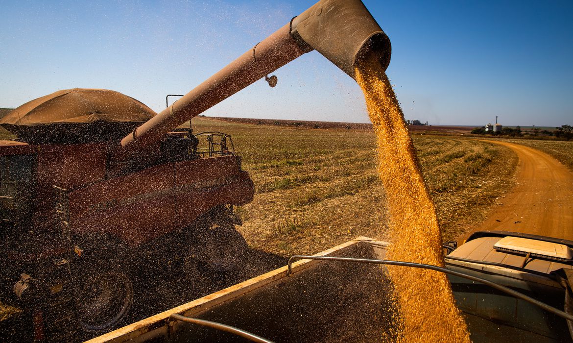 Produção de grãos do Brasil pode alcançar 358,6 milhões de toneladas em 2025/26