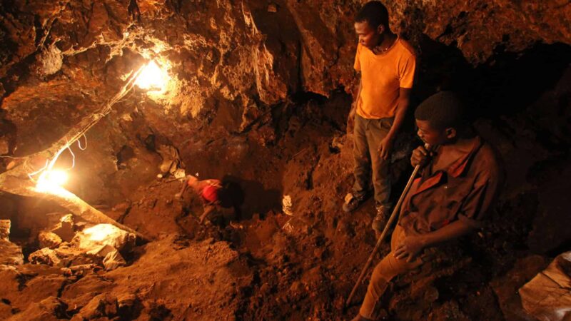 Veja como da floresta ao smartphone: a conexão entre ebola e mineração