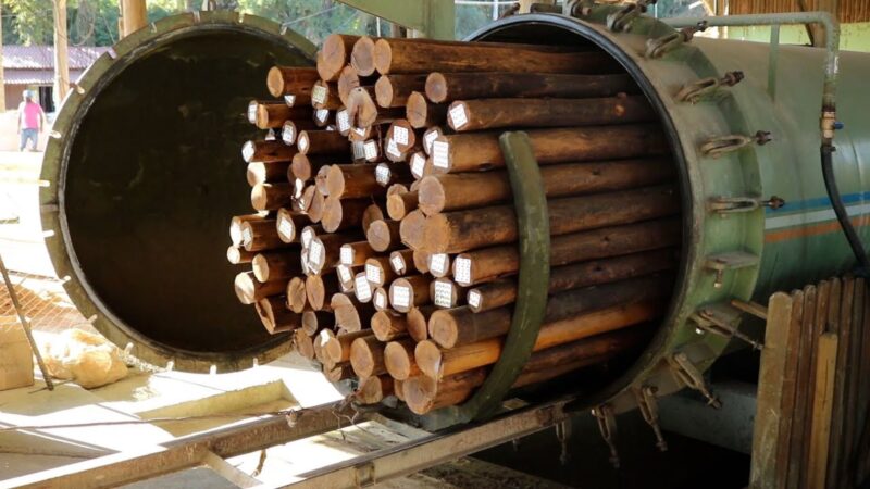 Empresa do Alto Vale do Itajaí transforma eucalipto e pinus de curta duração em madeira com garantia superior a 15 anos