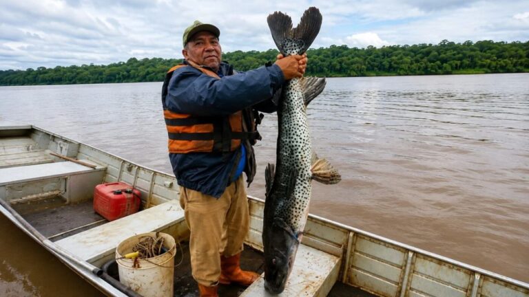 Pescador captura pintado de 18 kg nas margens do Lago de Itaipu em Mercedes (PR)