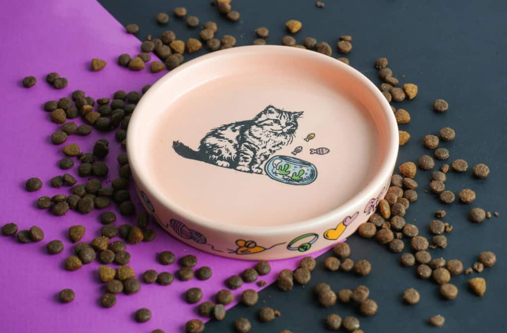 Microplásticos são encontrados em fezes de ouriços e em rações para pets no Reino Unido